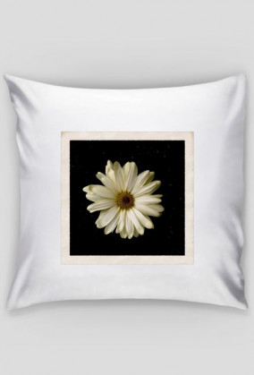 FLOWER - poduszka