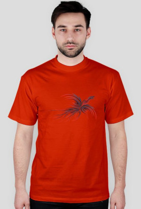 Recluse Phoenix