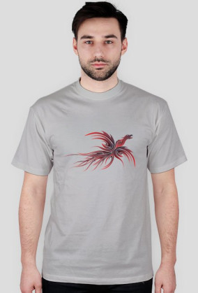 Recluse Phoenix