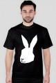 White Rabbit