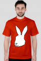 White Rabbit