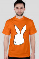 White Rabbit