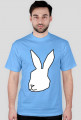 White Rabbit
