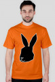 Black Rabbit