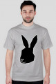Black Rabbit