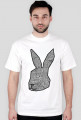 WALLter the Rabbit // wszystkie kolory