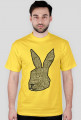 WALLter the Rabbit // wszystkie kolory