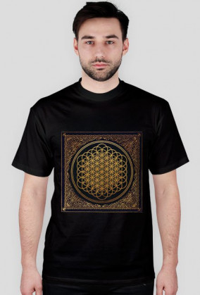 BMTH SEMPITERNAL 3