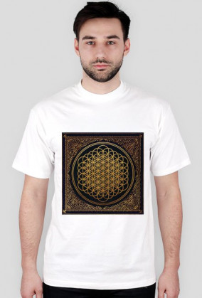 BMTH SEMPITERNAL 3