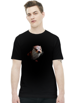 Wydra