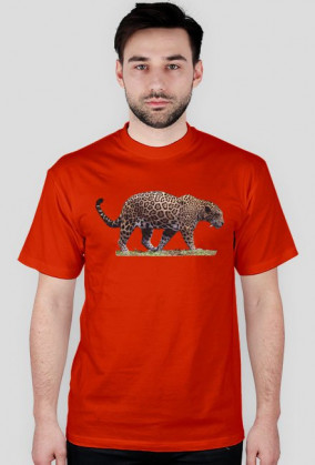 Jaguar I