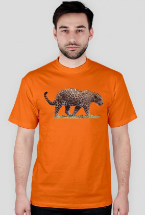 Jaguar I