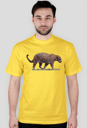 Jaguar I