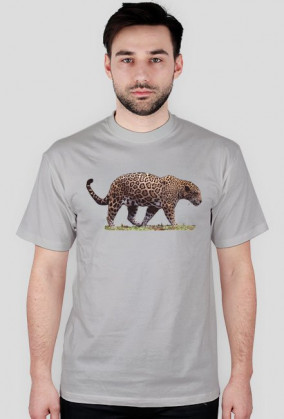 Jaguar I