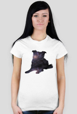 Galaxy dog