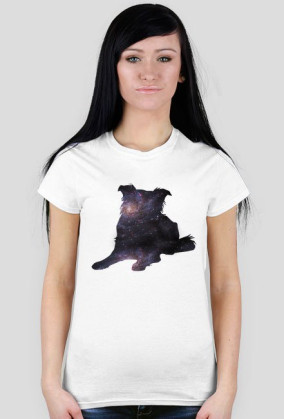 Galaxy dog