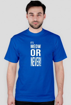 Meow or never