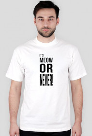 Meow or never
