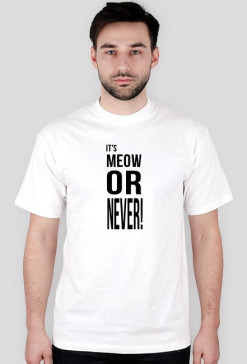 Meow or never