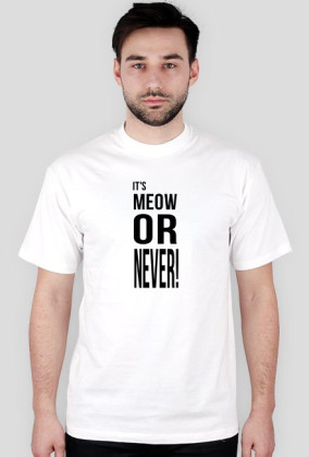 Meow or never