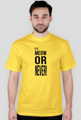 Meow or never