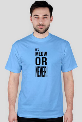 Meow or never