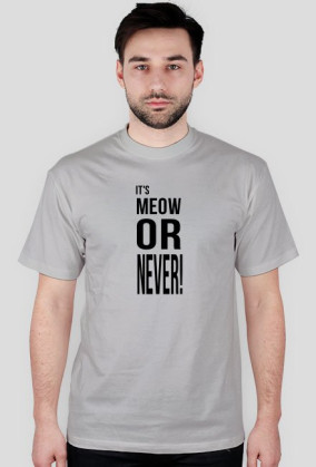Meow or never