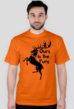 "Baratheon" T-shirt męski