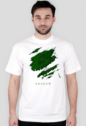 Kraków Cracow Dragon