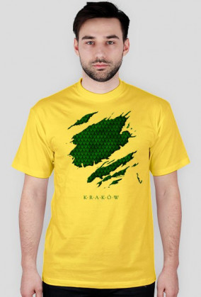 Kraków Cracow Dragon