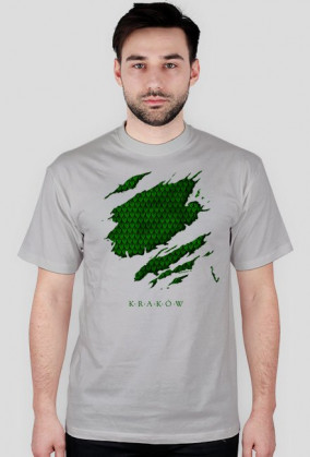 Kraków Cracow Dragon