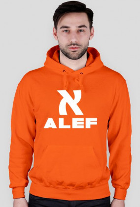 Bluza ALEF - różne kolory męska