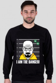 Breaking Bad - I am the danger!