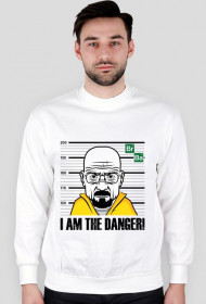 Breaking Bad - I am the danger!