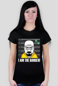 Breaking Bad - I am the danger!