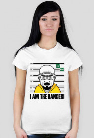 Breaking Bad - I am the danger!