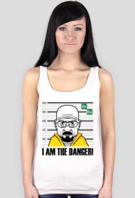 Breaking Bad - I am the danger!