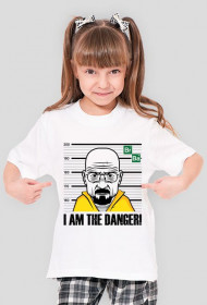 Breaking Bad - I am the danger!