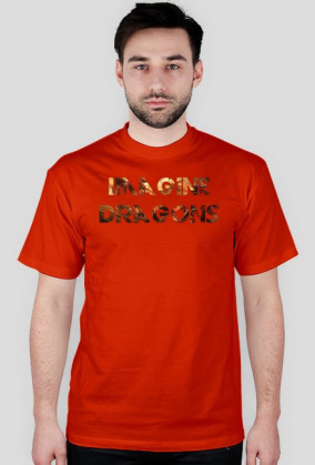 KOSZULKA IMAGINE DRAGONS MĘSKA