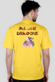 KOSZULKA IMAGINE DRAGONS MĘSKA