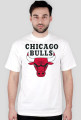Bulls