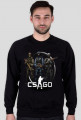 CS:GO