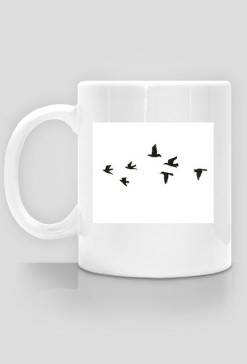 fly