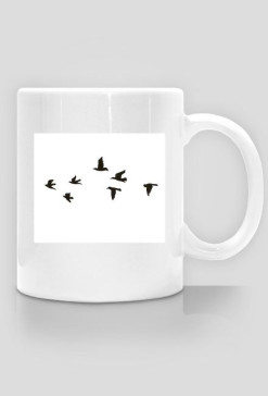 fly