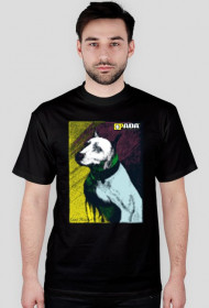 Koszulka męska - Pit Bull. Pada