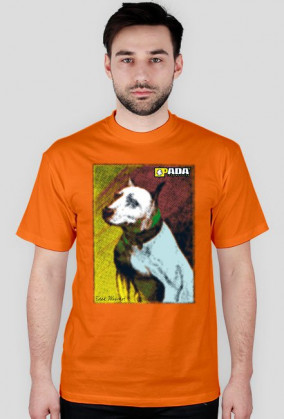 Koszulka męska - Pit Bull. Pada