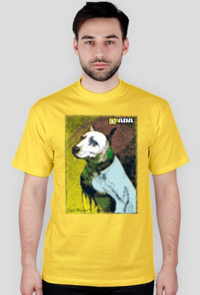 Koszulka męska - Pit Bull. Pada