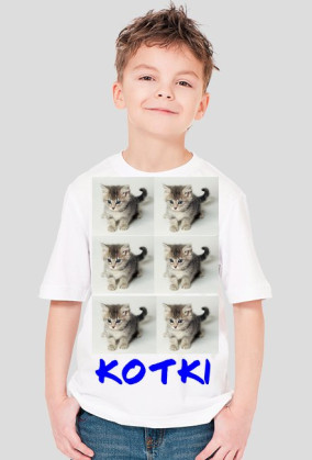 Kotki