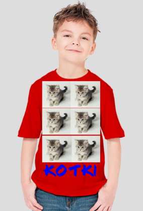 Kotki