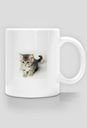 Zwierzaki Słodziaki